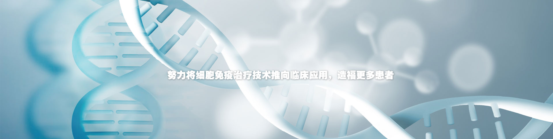 这是描述信息 这是描述信息