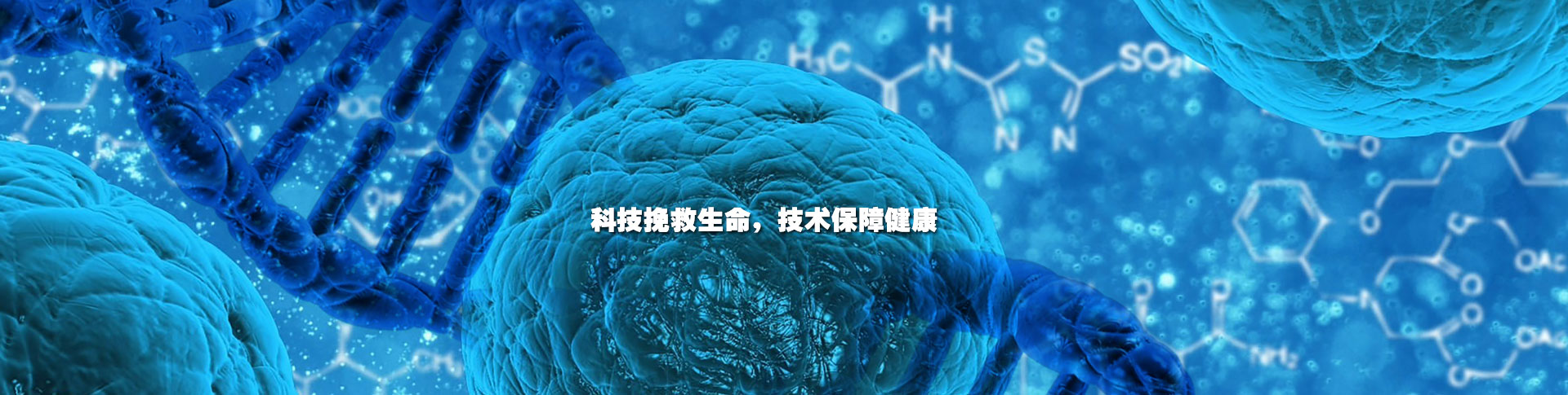 这是描述信息 这是描述信息