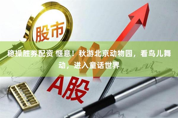 稳操胜券配资 惬意！秋游北京动物园，看鸟儿舞动，进入童话世界