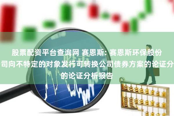 股票配资平台查询网 赛恩斯: 赛恩斯环保股份有限公司向不特定的对象发行可转换公司债券方案的论证分析报告