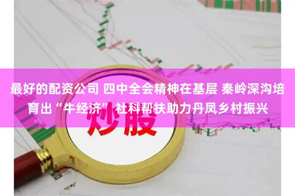 最好的配资公司 四中全会精神在基层 秦岭深沟培育出“牛经济” 社科帮扶助力丹凤乡村振兴