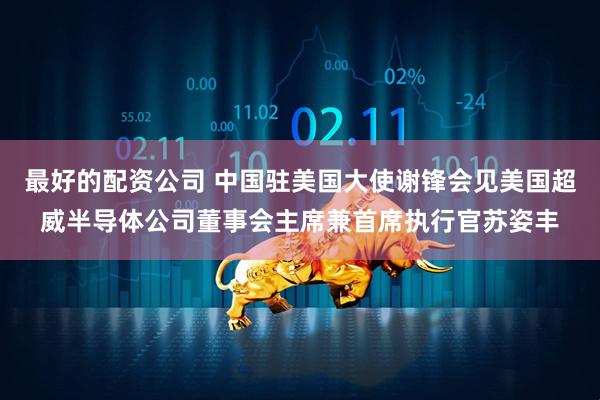 最好的配资公司 中国驻美国大使谢锋会见美国超威半导体公司董事会主席兼首席执行官苏姿丰