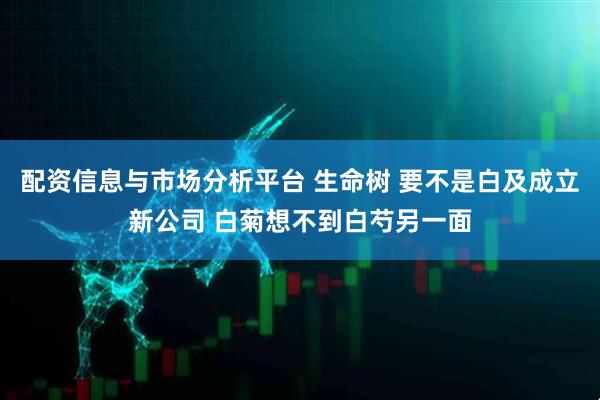 配资信息与市场分析平台 生命树 要不是白及成立新公司 白菊想不到白芍另一面